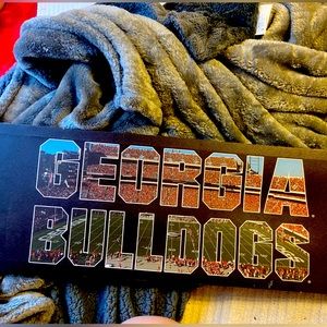 Georgia bull dog canvas board
